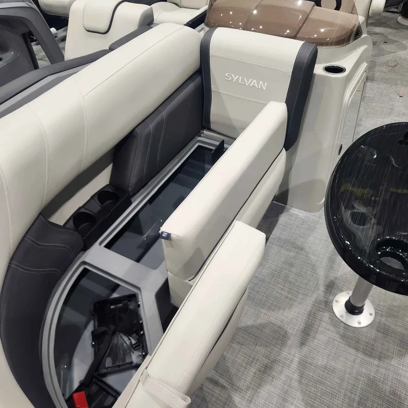 Slide: The Image of Sylvan MIR 8520 PF 2025 - 3