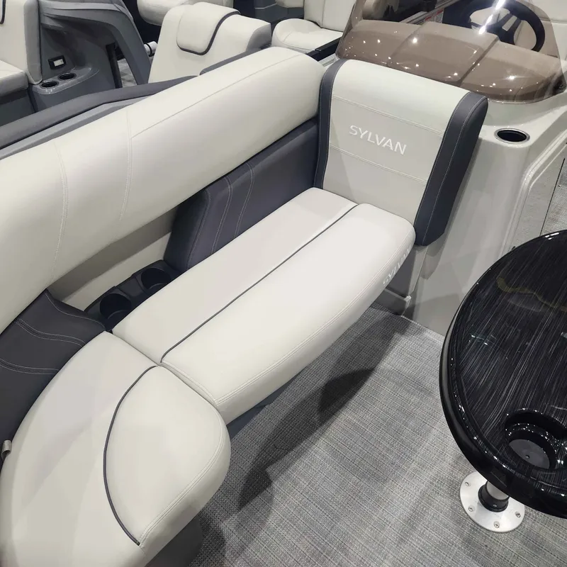 Slide: The Image of Sylvan MIR 8520 PF 2025 - 4