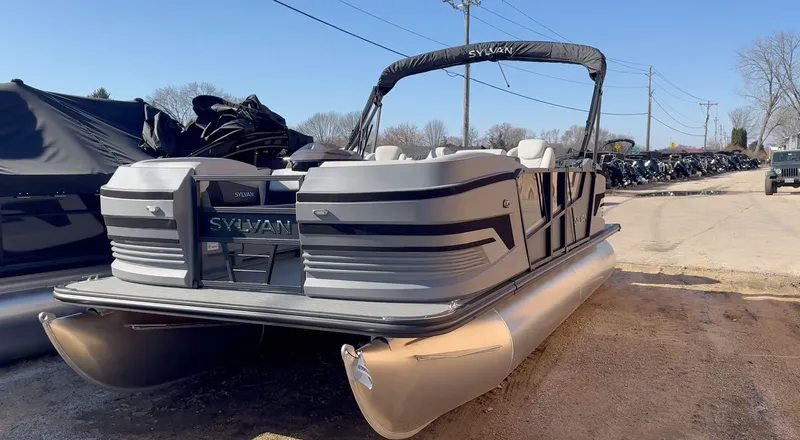 The Image of Sylvan R-20 PARTY FISH 2026 - 0