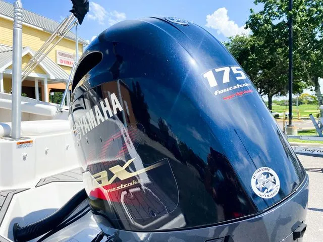 Slide: The Image of Starcraft SVX 211 OB 2024 - 20