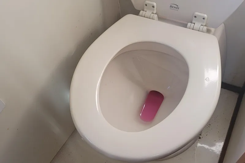 Slide: The Image of White toilet with pink cleaning tablet, Bemis seat, in a Fortier 30, 2015 model. - 25