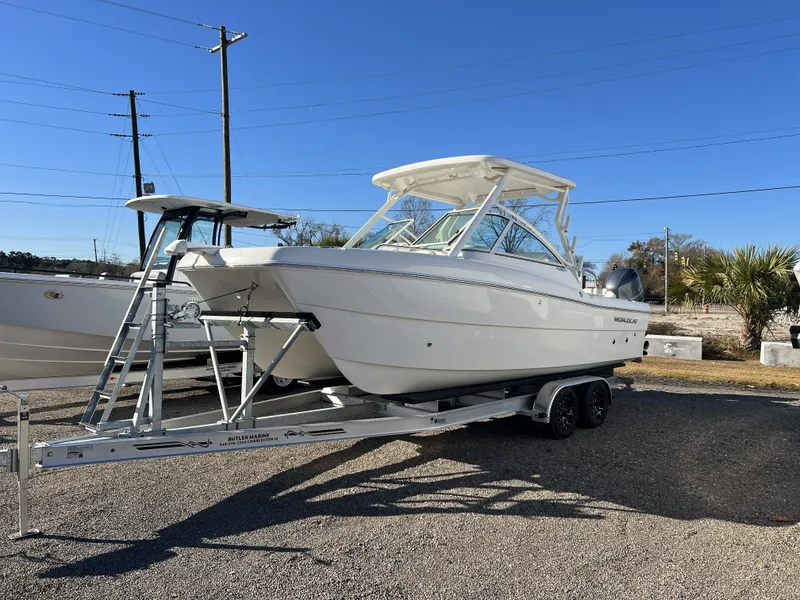 The Image of World Cat 230 DC 2025 - 1