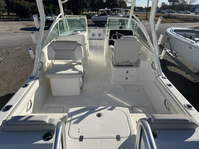 Slide: The Image of World Cat 230 DC 2025 - 11