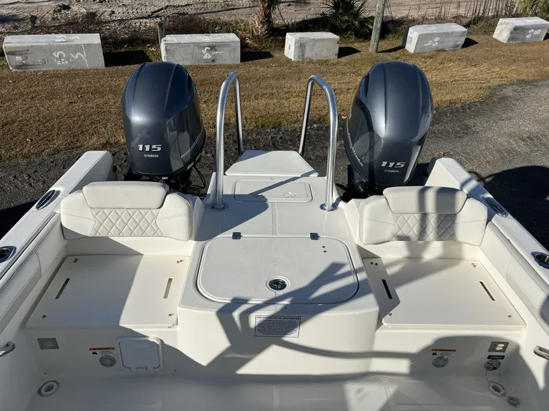 Slide: The Image of World Cat 230 DC 2025 - 12