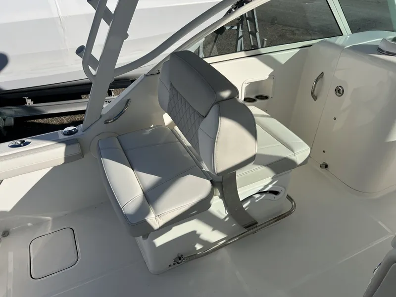 Slide: The Image of World Cat 230 DC 2025 - 13