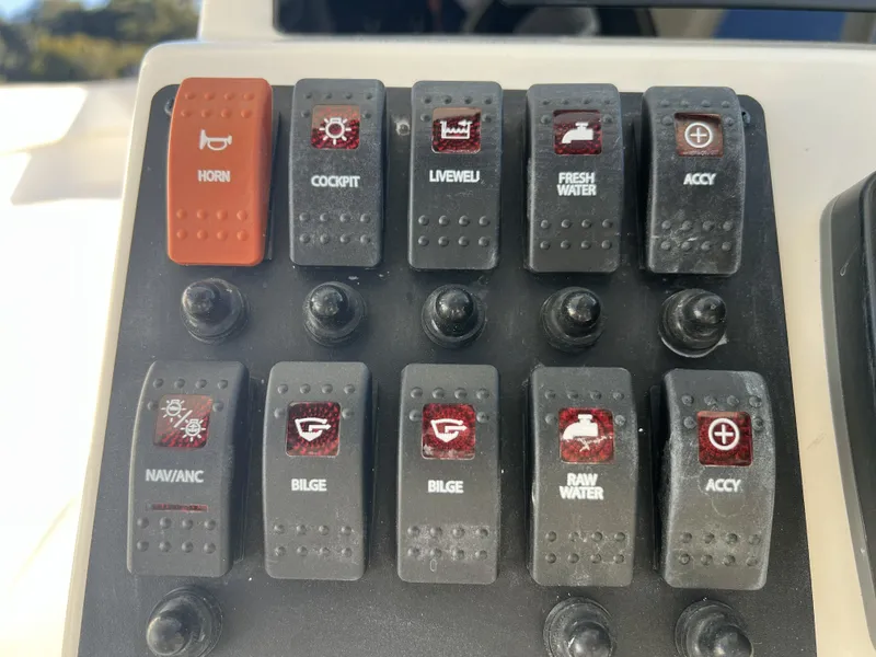 Slide: The Image of World Cat 230 DC 2025 - 9