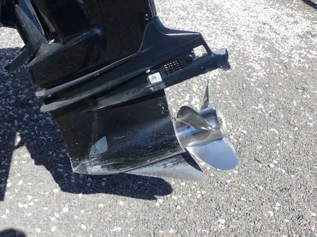 Slide: The Image of Sea Pro 248 2021 - 12