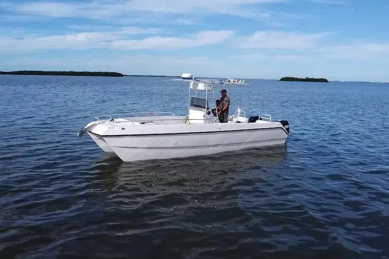 Slide: The Image of 1995 Sea Cat 255 center console on calm waters. - 19