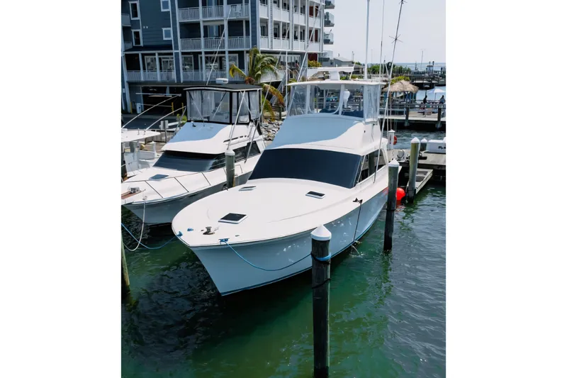 Slide: The Image of 1988 Ocean Yachts 48 Super Sport docked at marina, surrounded by water and other boats. - 4