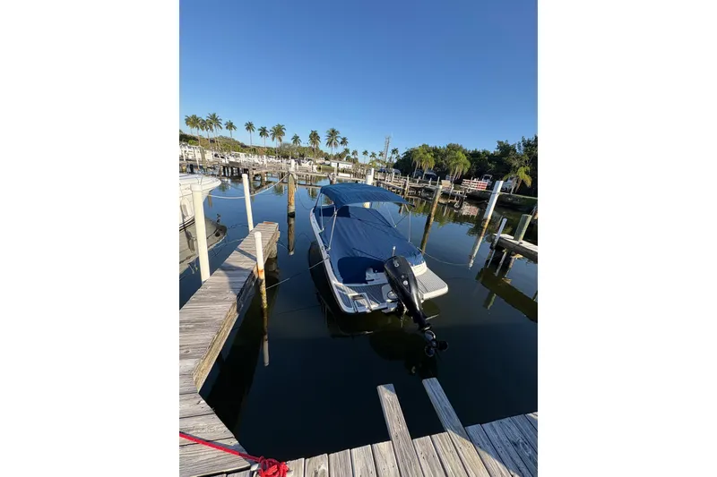 Slide: The Image of 2022 Sea Ray 19 SPX OB boat docked in a sunny marina with palm trees. - 6