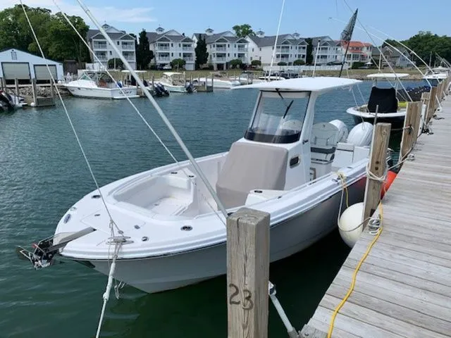 Slide: The Image of Edgewater 262CC 2024 - 3