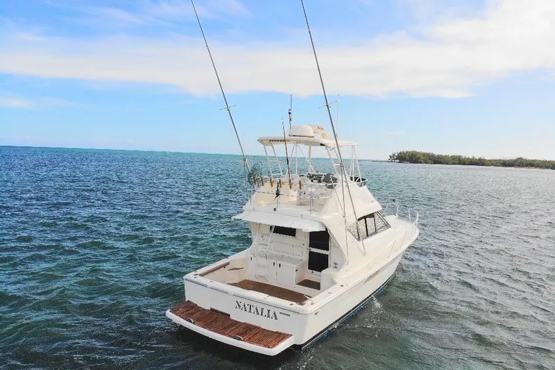 Slide: The Image of 1999 Wellcraft 400 Coastal yacht on open water, clear sky, rear view. - 21