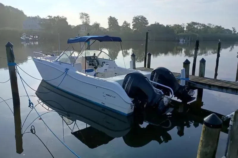 The Image of 2000 World Cat 246 DC 1 - 1