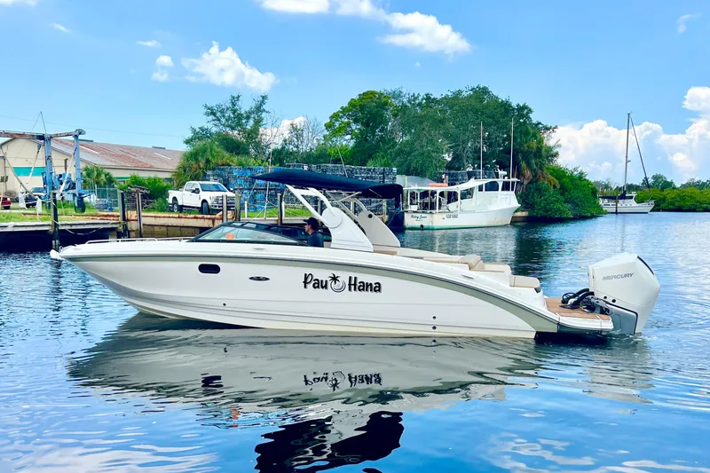 Slide: The Image of 2019 Sea Ray SDX 290 Outboard boat on calm water, clear sky background. - 21