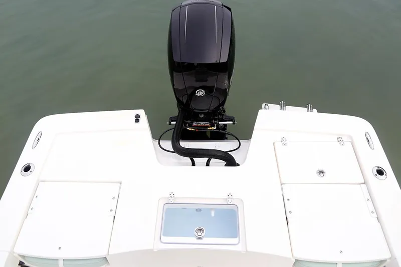 Slide: The Image of Manufacturer Provided Image: 2025 Sea Born FX22 Bay boat with outboard motor, viewed from above. - 10