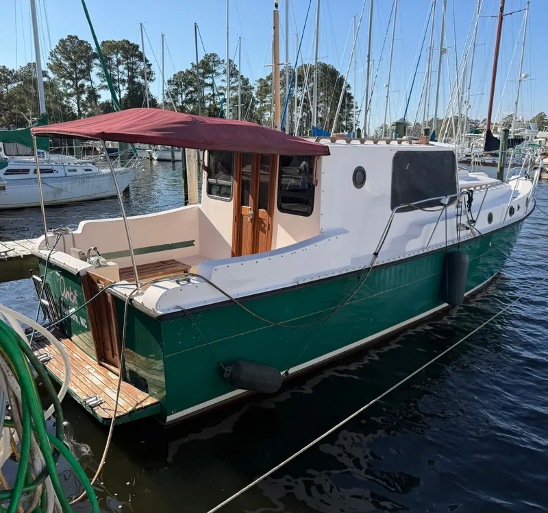 The Image of Nimble Wanderer 1996 - 0