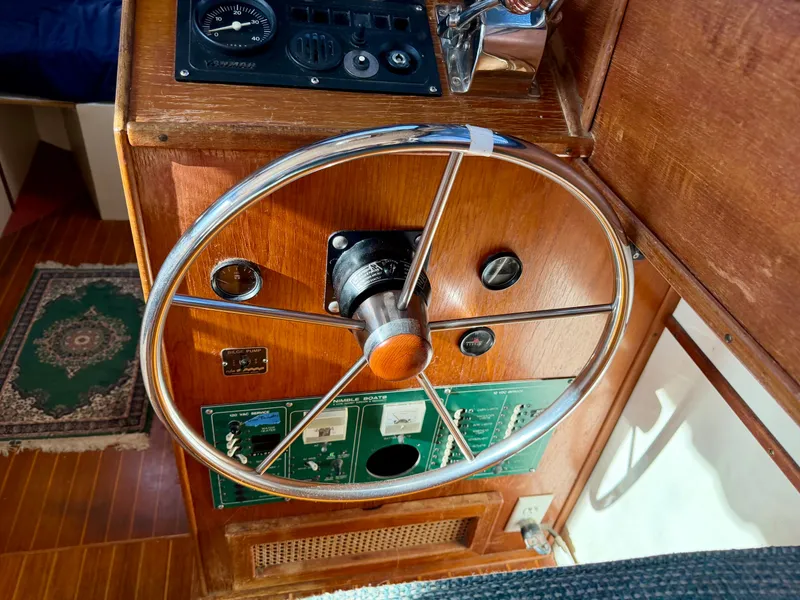 Slide: The Image of Nimble Wanderer 1996 - 13