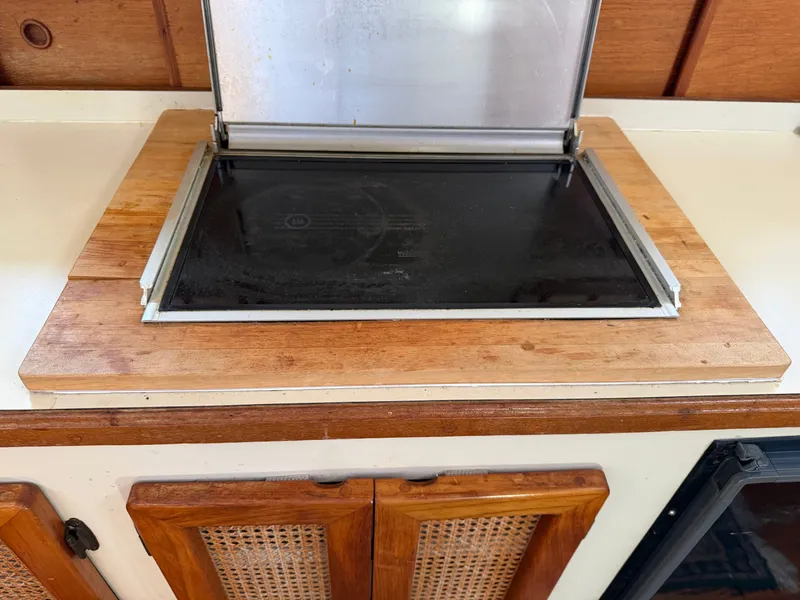 Slide: The Image of Nimble Wanderer 1996 - 19