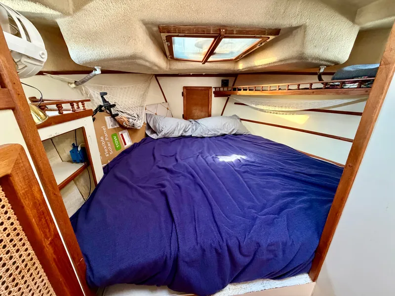 Slide: The Image of Nimble Wanderer 1996 - 25