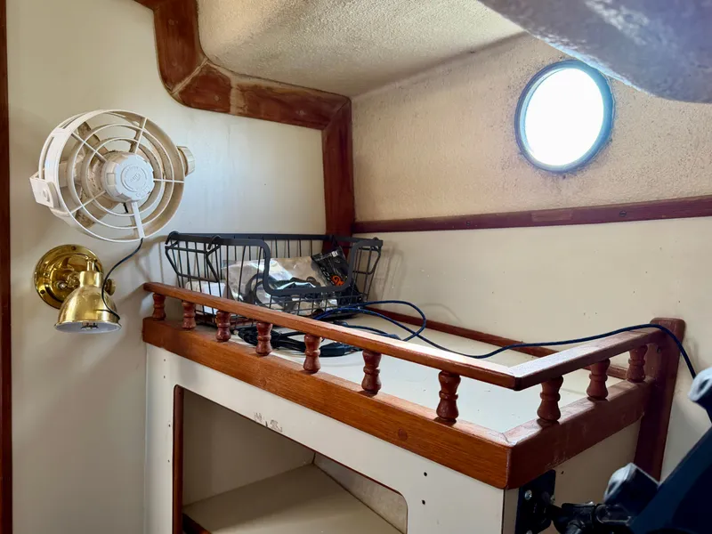 Slide: The Image of Nimble Wanderer 1996 - 30