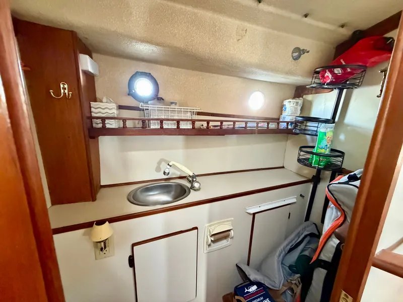 Slide: The Image of Nimble Wanderer 1996 - 32