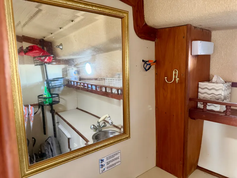 Slide: The Image of Nimble Wanderer 1996 - 35