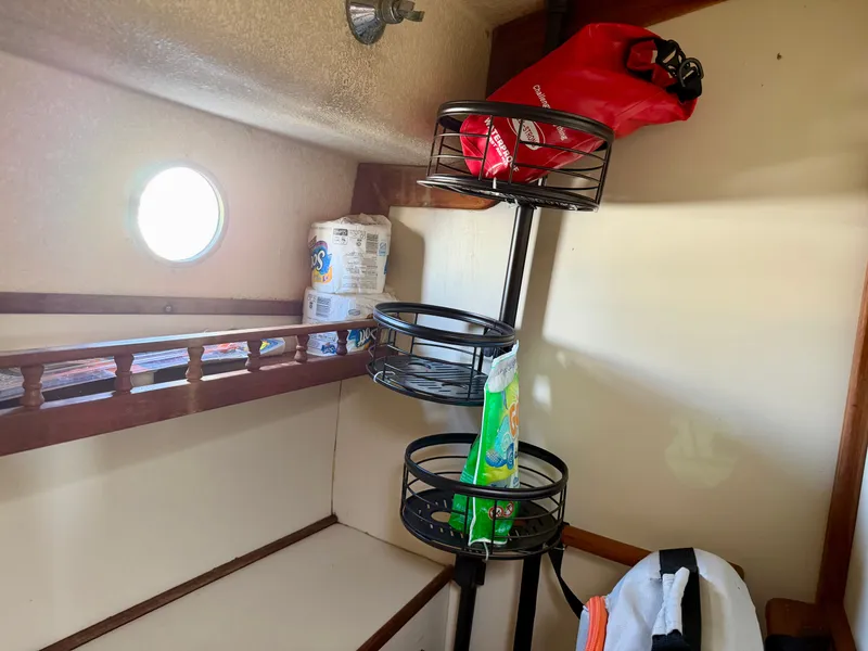 Slide: The Image of Nimble Wanderer 1996 - 36