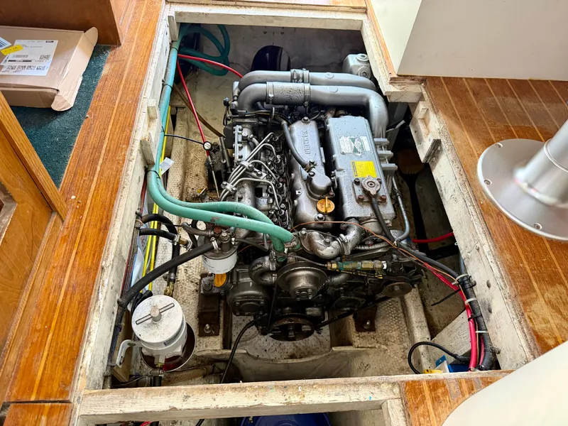 Slide: The Image of Nimble Wanderer 1996 - 37