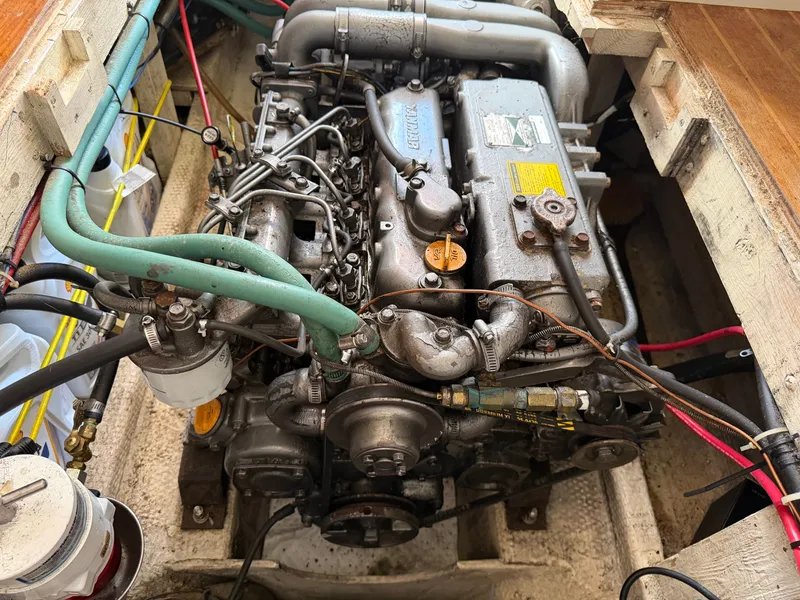 Slide: The Image of Nimble Wanderer 1996 - 38