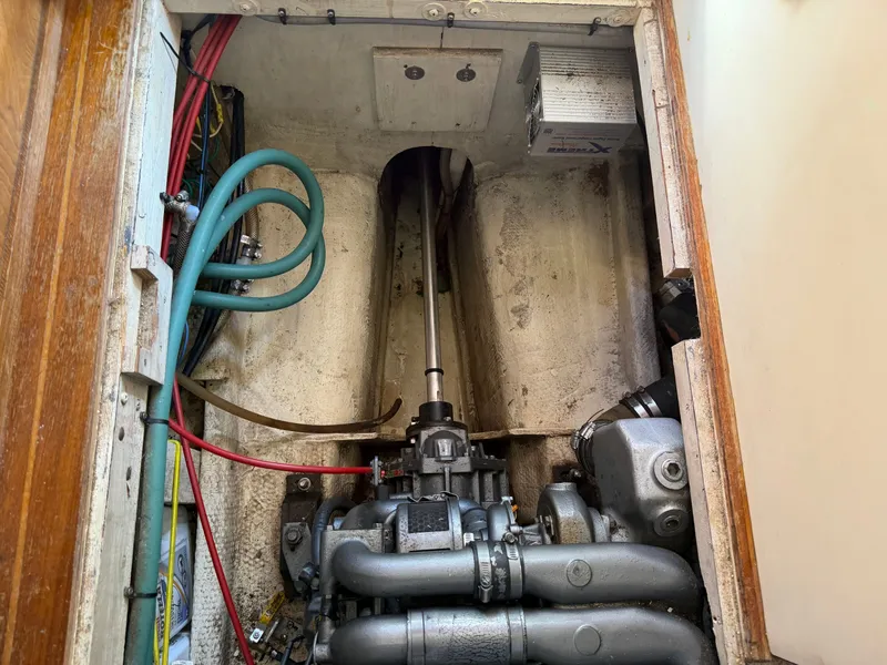 Slide: The Image of Nimble Wanderer 1996 - 41