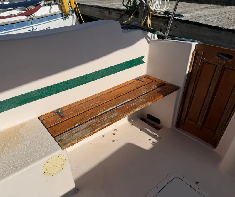 Slide: The Image of Nimble Wanderer 1996 - 45