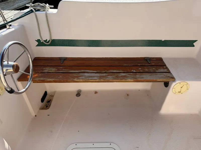 Slide: The Image of Nimble Wanderer 1996 - 46