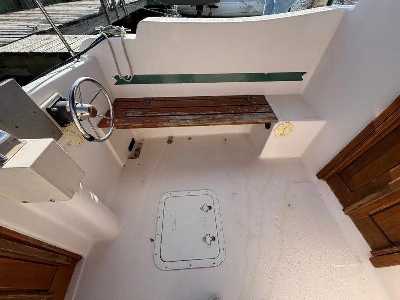 Slide: The Image of Nimble Wanderer 1996 - 47