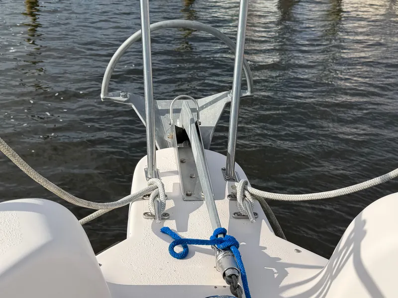 Slide: The Image of Nimble Wanderer 1996 - 49