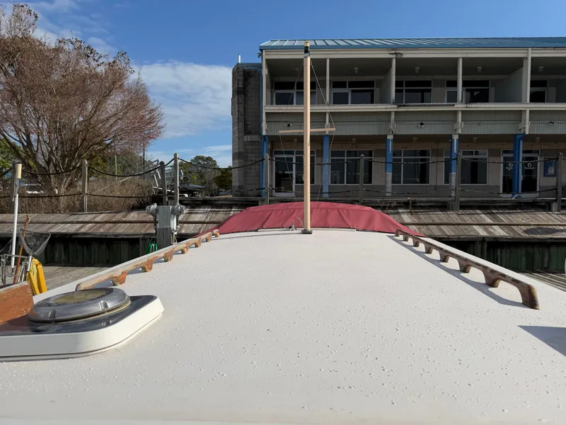 Slide: The Image of Nimble Wanderer 1996 - 52