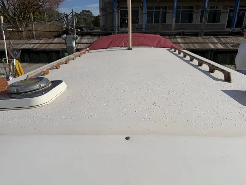 Slide: The Image of Nimble Wanderer 1996 - 53