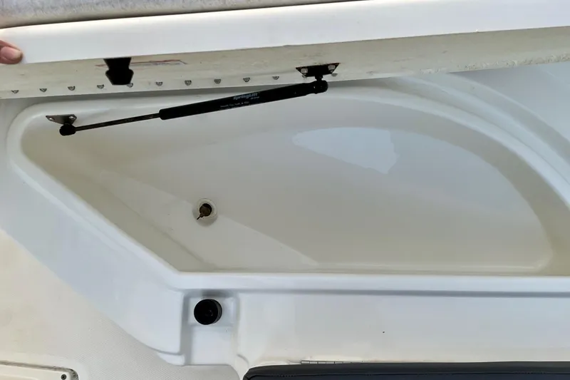 Slide: The Image of 2021 Bayliner Trophy T20CC storage compartment with hydraulic lift support. - 9