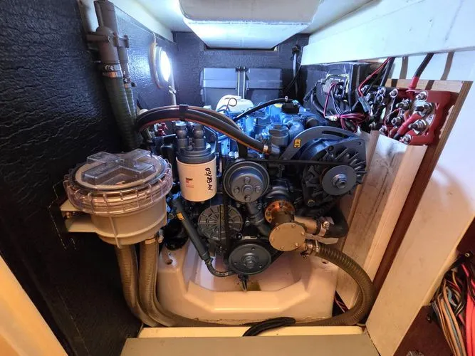 Slide: The Image of 2018 Tofinou 12 - Image 19 - 19