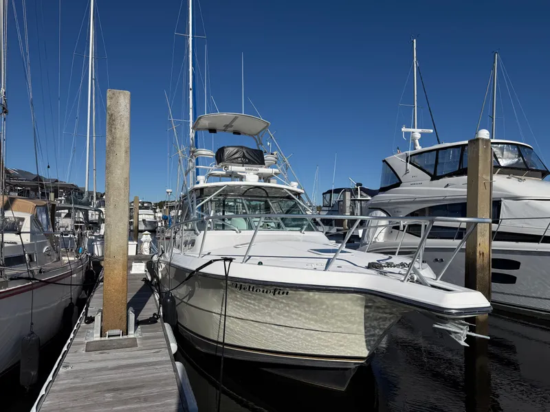 Slide: The Image of Rampage 38 Express 2006 - 2