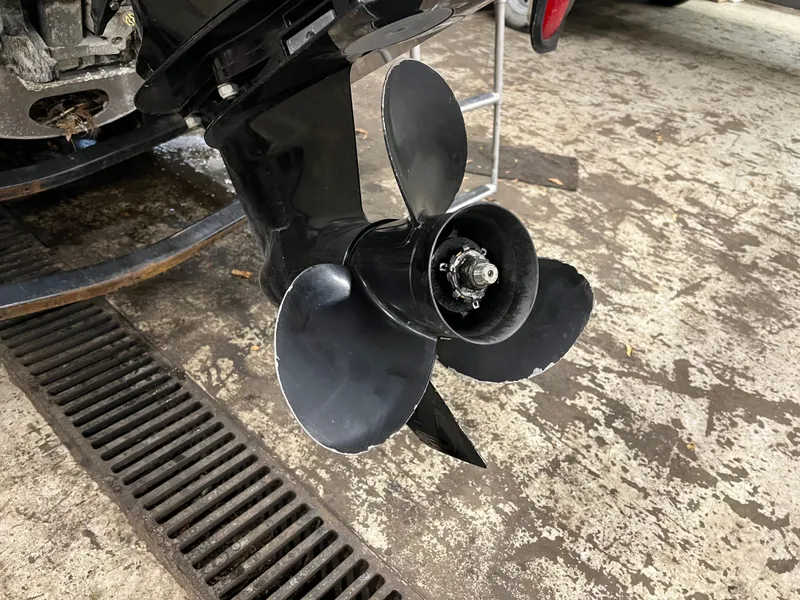 Slide: The Image of Sylvan Mirage Cruise 8520 2018 - 5