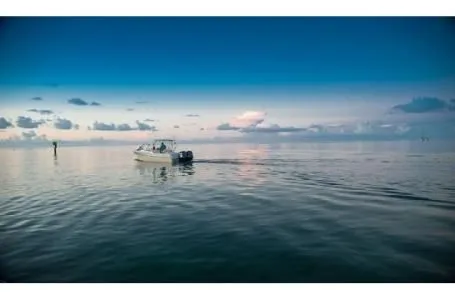 Slide: The Image of Grady-White Freedom 285 2015 - 17