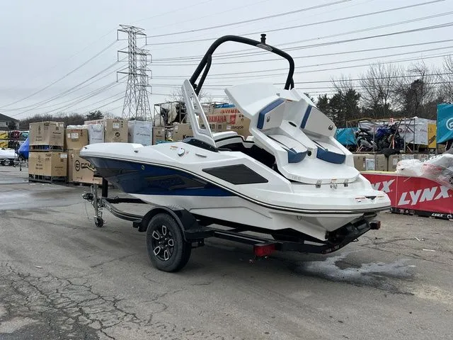 Slide: The Image of Scarab 165 ID 2023 - 3