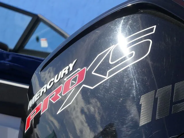 Slide: The Image of Sea Ray SPX 190 2019 - 7