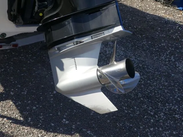 Slide: The Image of Sea Ray SPX 190 2019 - 8