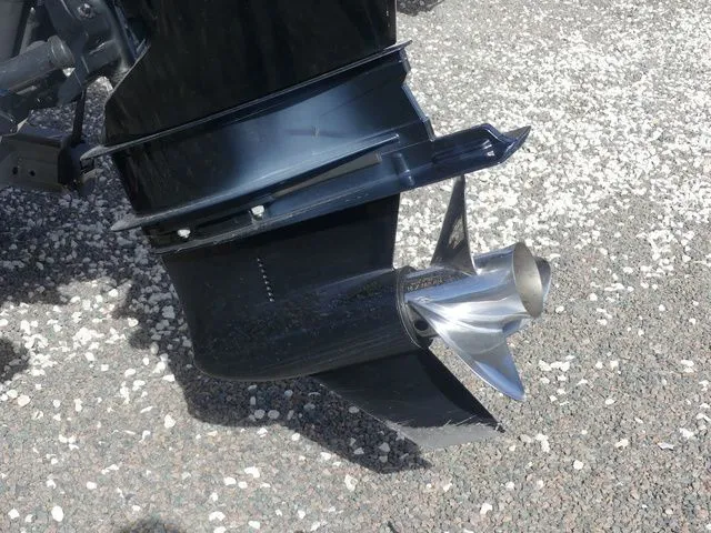 Slide: The Image of Crevalle HCO26 2020 - 12