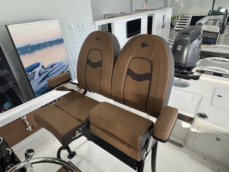 Slide: The Image of Sea Pro 250 DLX 2026 - 10