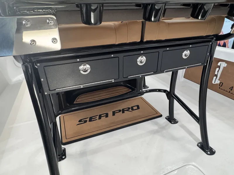 Slide: The Image of Sea Pro 250 DLX 2026 - 11