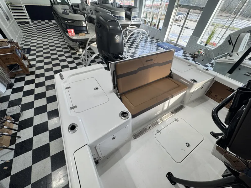 Slide: The Image of Sea Pro 250 DLX 2026 - 12