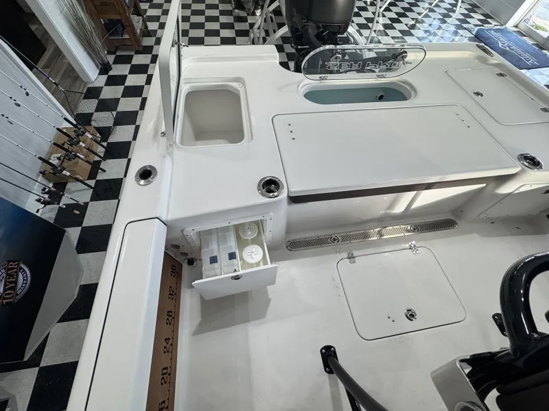 Slide: The Image of Sea Pro 250 DLX 2026 - 13