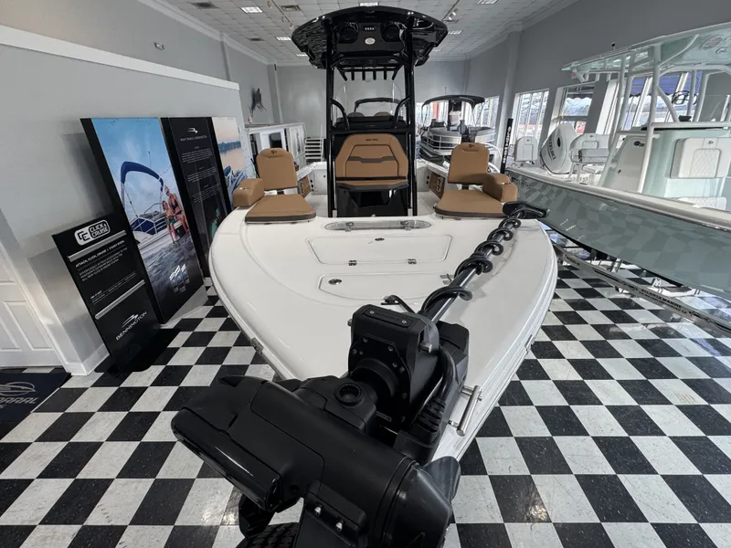 Slide: The Image of Sea Pro 250 DLX 2026 - 16